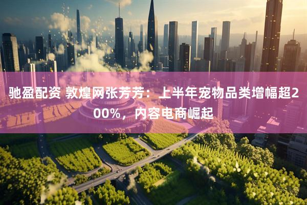 驰盈配资 敦煌网张芳芳：上半年宠物品类增幅超200%，内容电商崛起